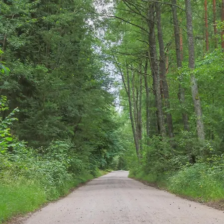 Leśny Kont Mazury